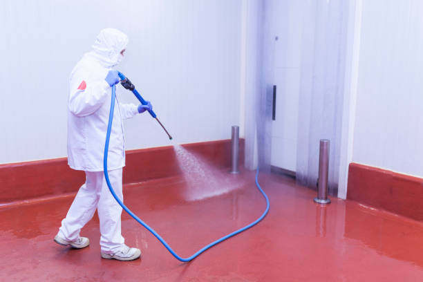 Best Soft Washing for Delicate Surfaces in Town Creek, AL